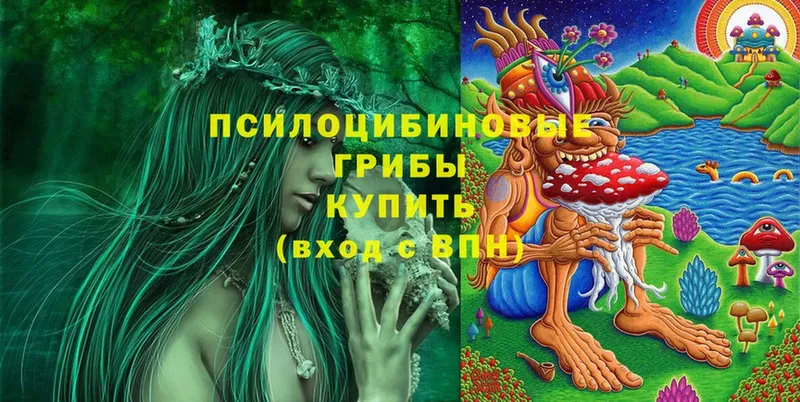 Псилоцибиновые грибы MAGIC MUSHROOMS Петровск-Забайкальский